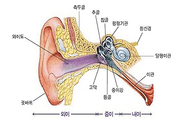 내부이미지